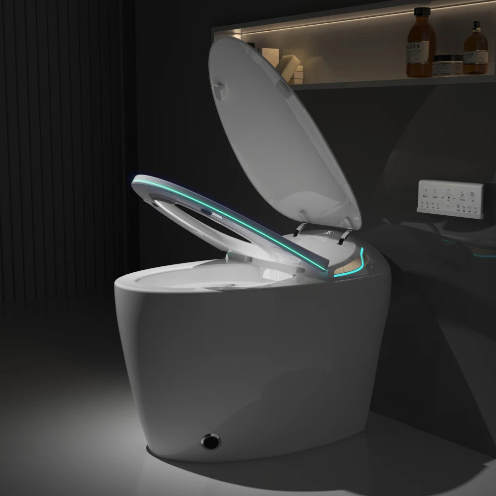 Unique Smart Toilet with Bidet Built In