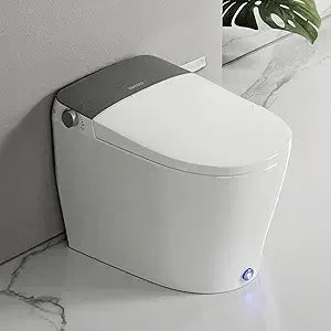 Integrated Smart Toilets with Bidet Features