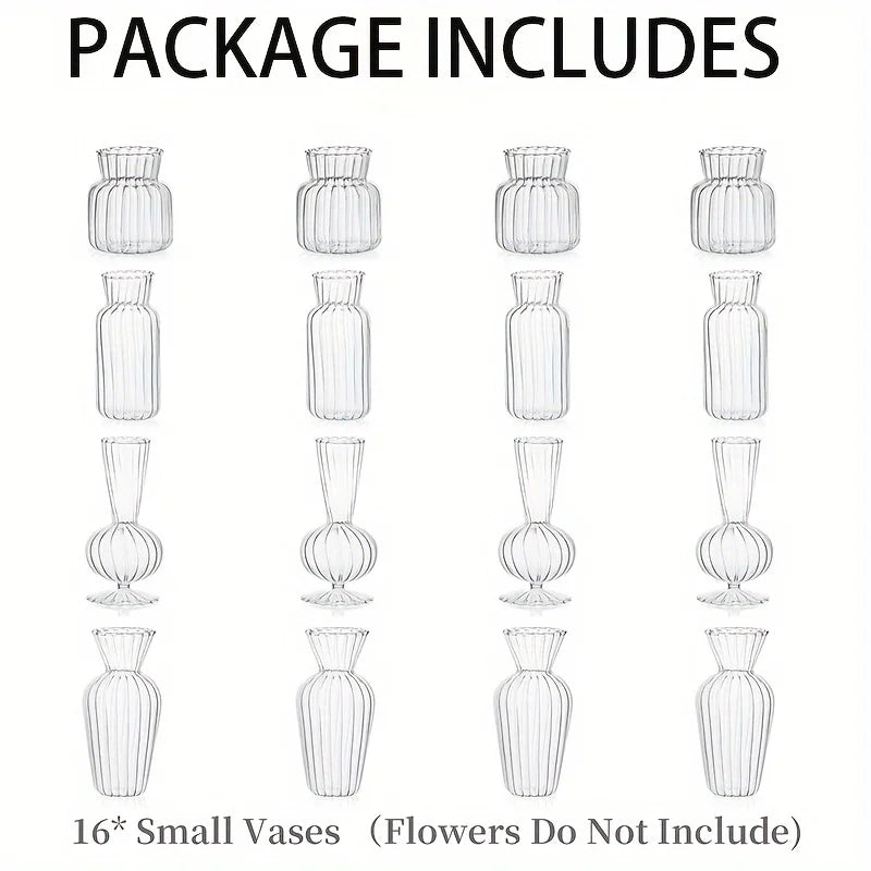 Modern Transparent Glass Vase Set