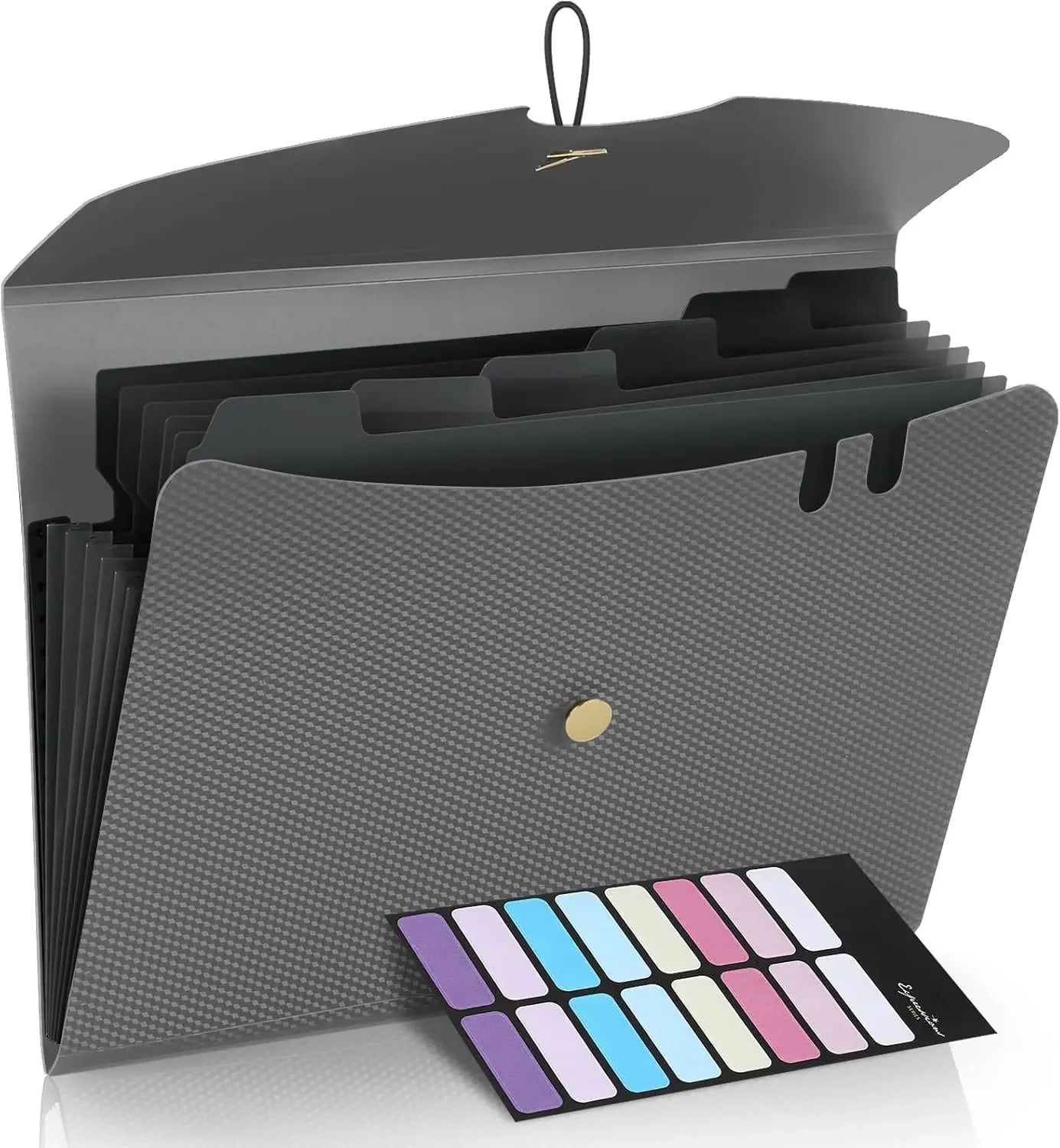 Letter Size Organ Organizer