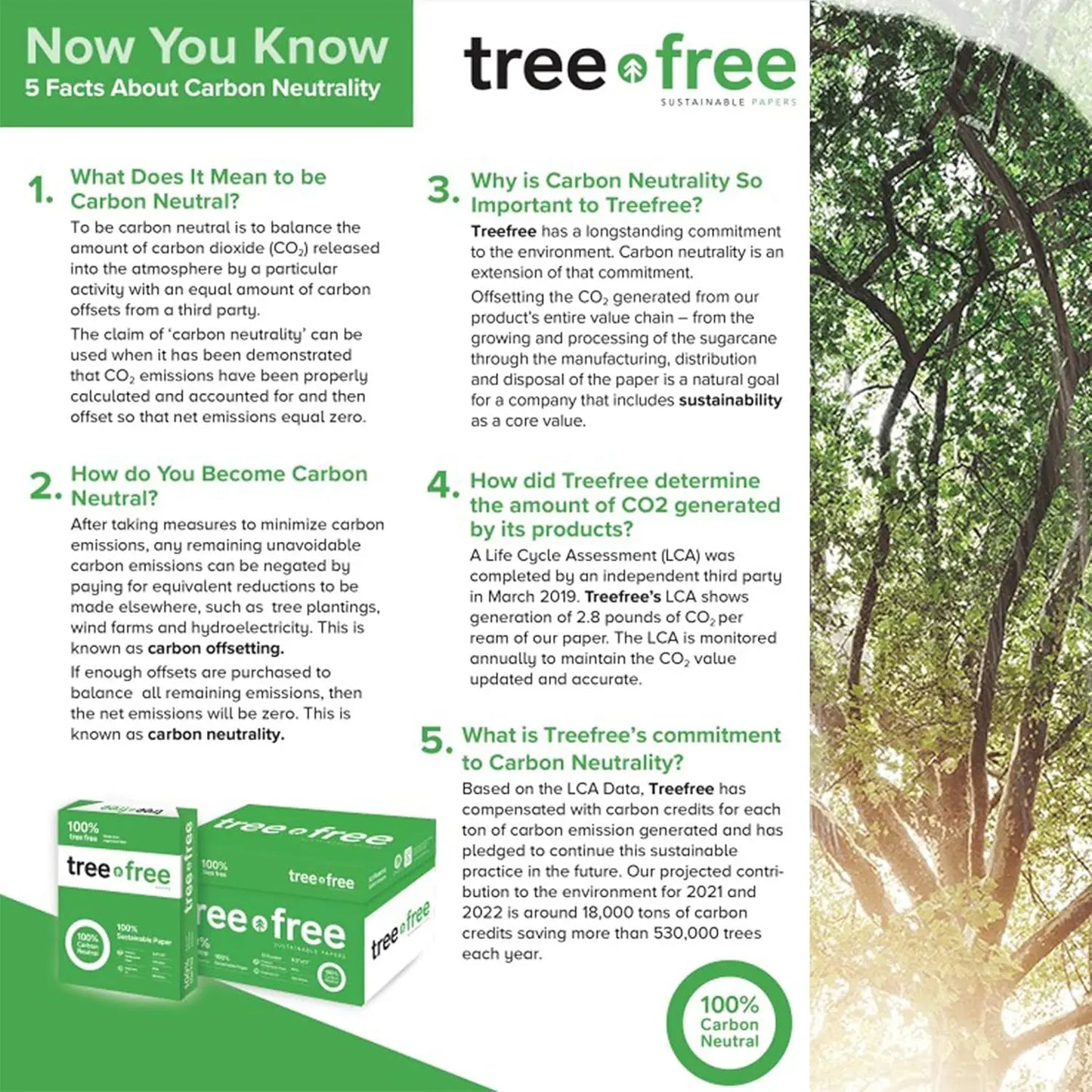 Copy Paper - 92 Bright for Printers Copiers