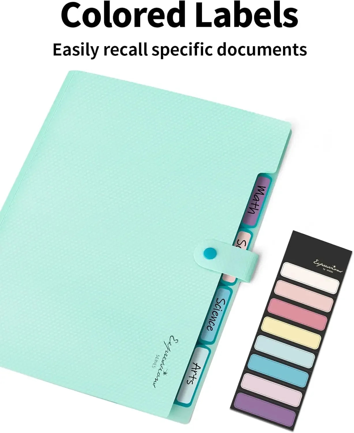 Letter Size Organ Organizer
