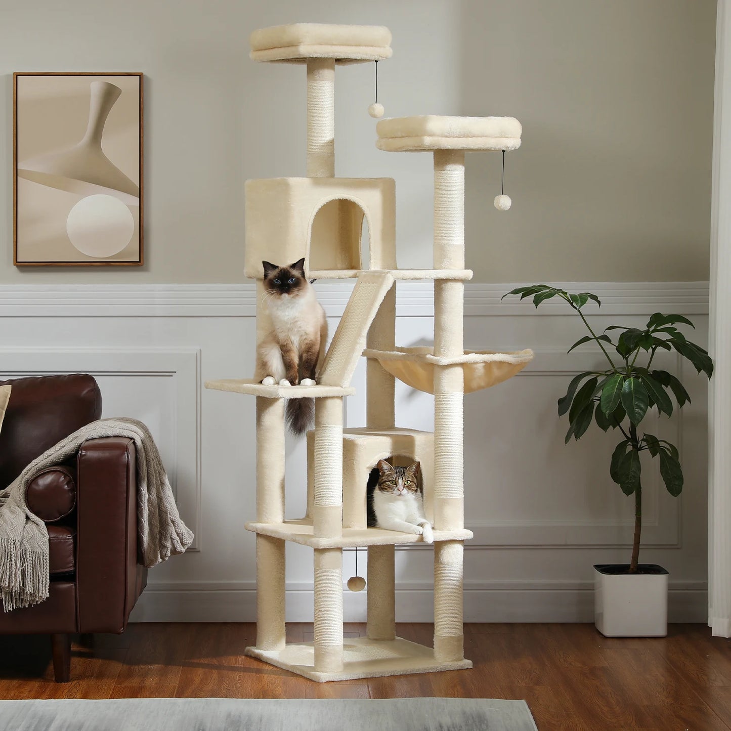 Multi-Level Plush Cat Condo with Scratching Posts