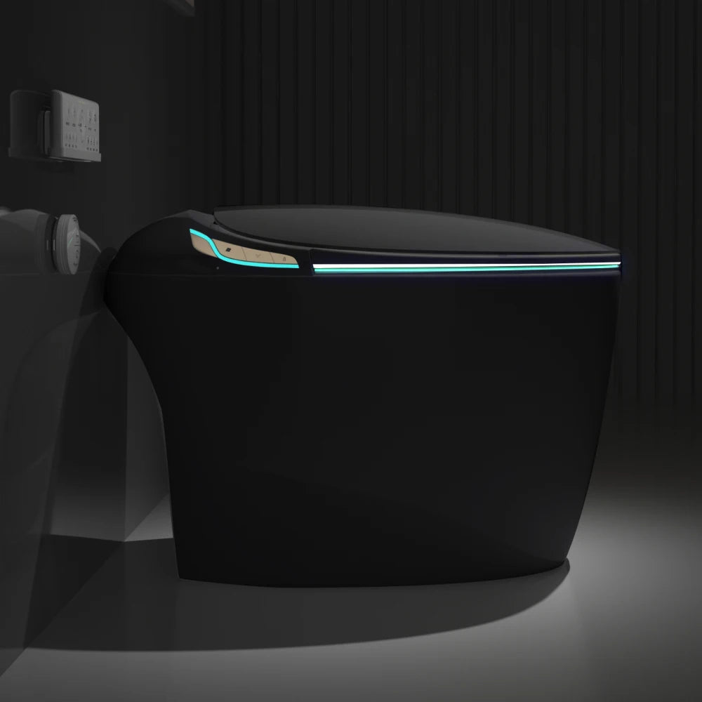 Unique Smart Toilet with Bidet Built In