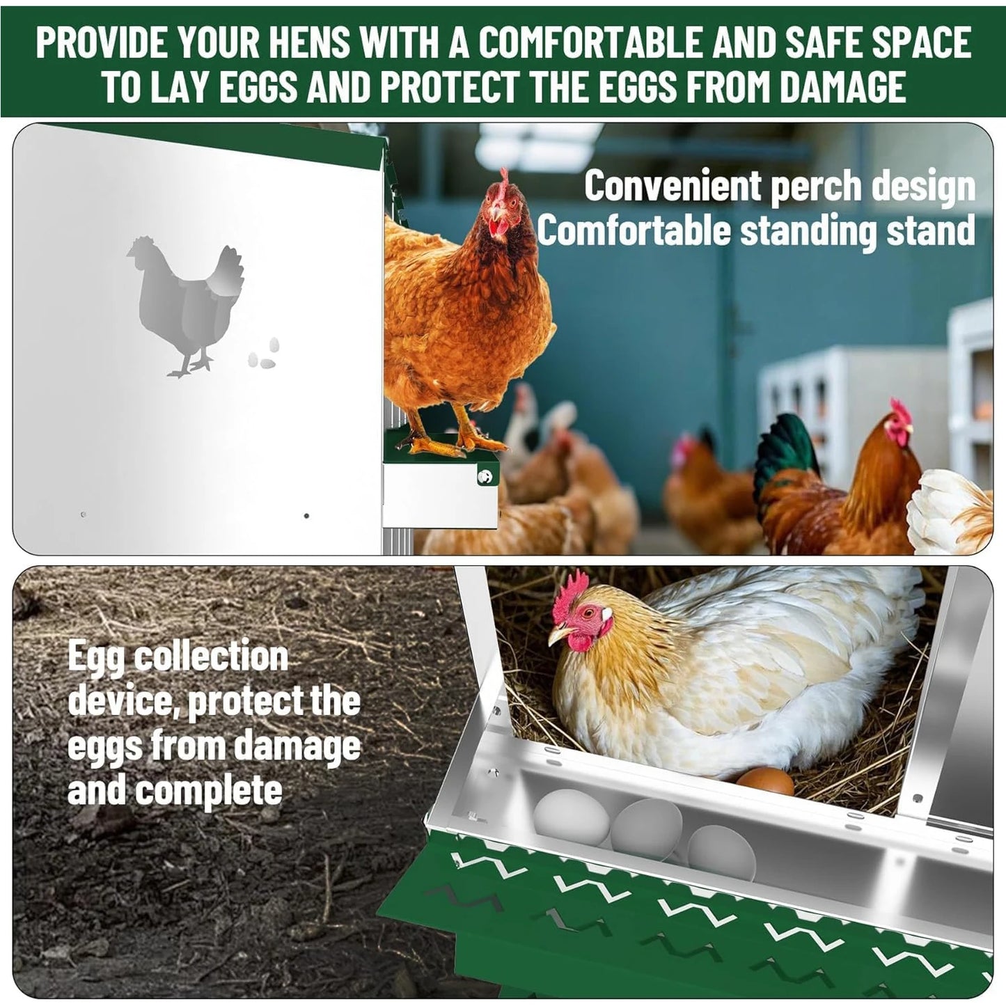 Metal Chicken Nesting Boxes Heavy-Duty Galvanized Steel Egg Laying Box with 10 Compartments Wall-Mountable for Poultry Coops