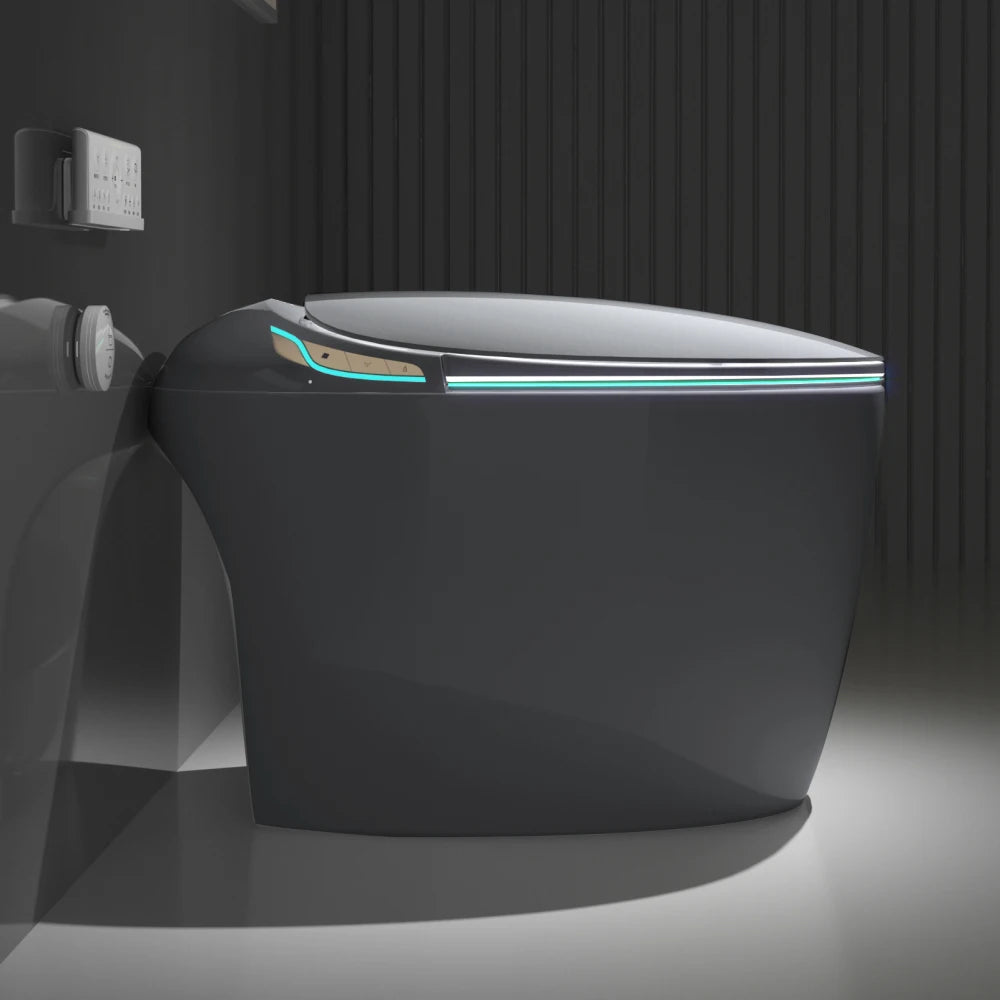 Unique Smart Toilet with Bidet Built In