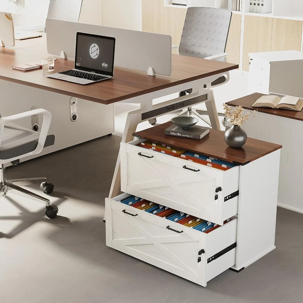 Office Filing Organizer with 2 Drawer File Cabinet and Lock
