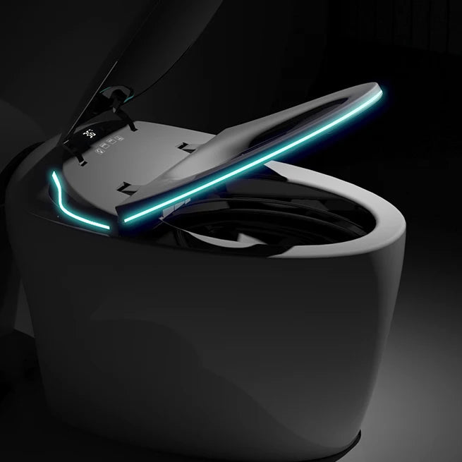 Unique Smart Toilet with Bidet Built In