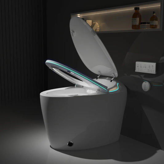 Unique Smart Toilet with Bidet Built In