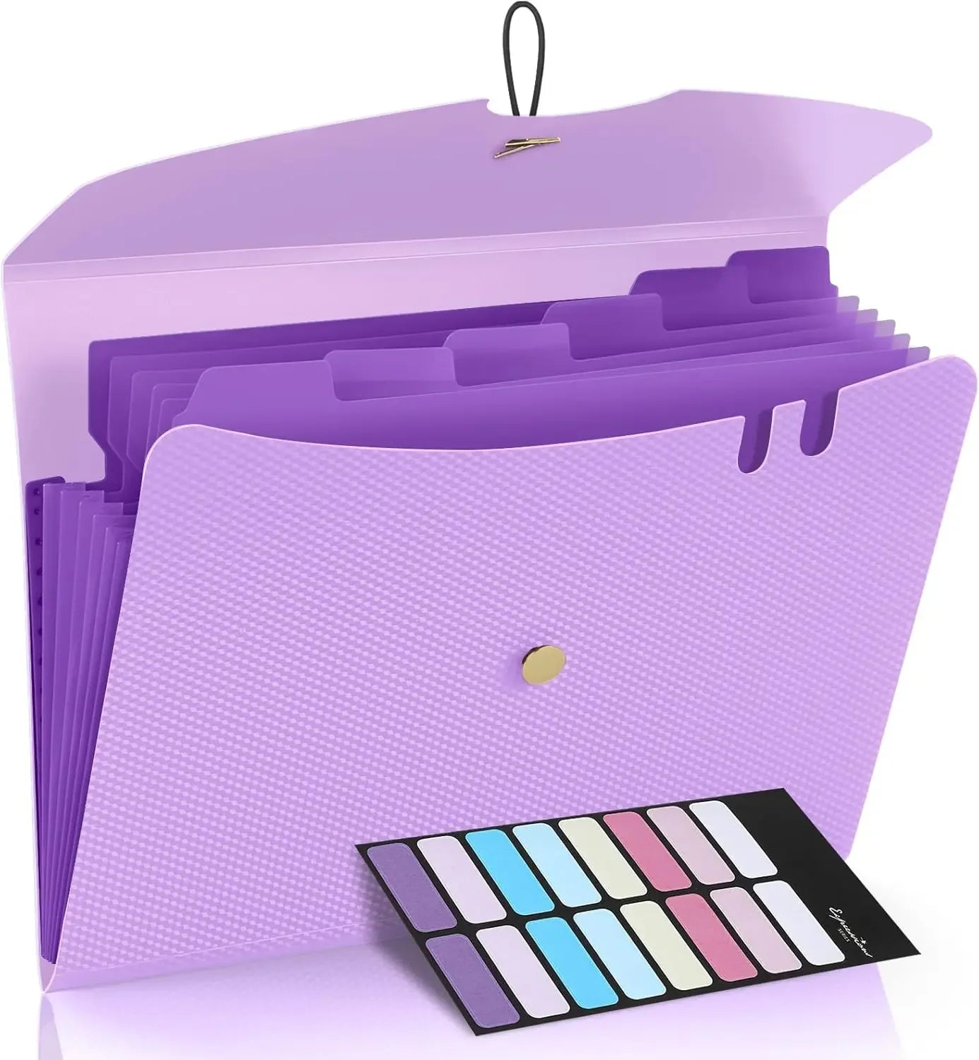 Letter Size Organ Organizer