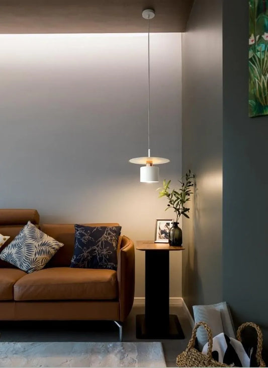 Modern Minimalist Nordic Simple Single Head Chandelier Light