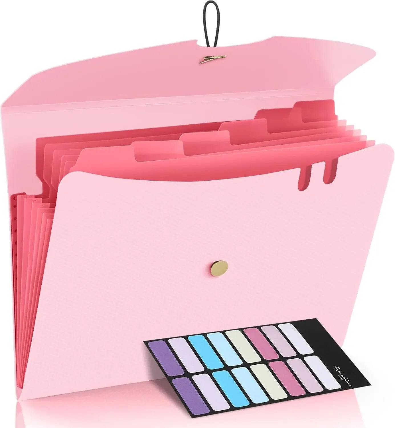Letter Size Organ Organizer