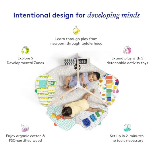 Baby Stage-Based Developmental Activity Gym & Play Mat