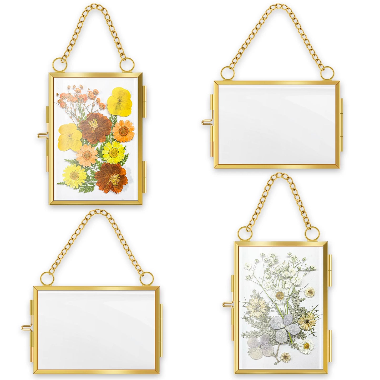 Plant Specimen Clip Art Mini Embossed DIY Small Photo Frame Set