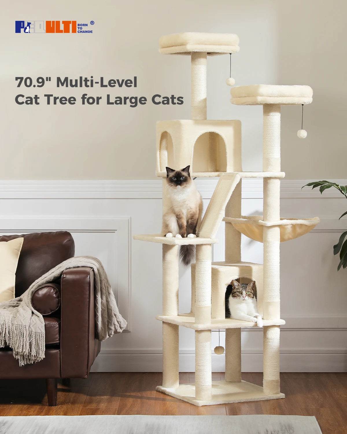 Multi-Level Plush Cat Condo with Scratching Posts