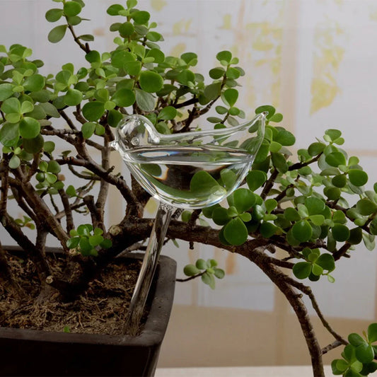 Self Watering Bulb Garden Plant Dropper Drip Irrigation