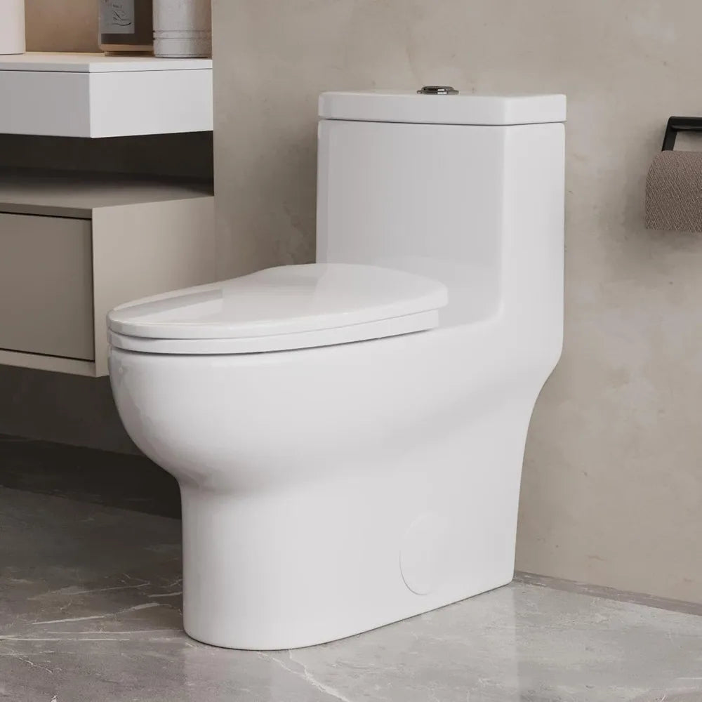 Dual Flush Toilet with Standard Height