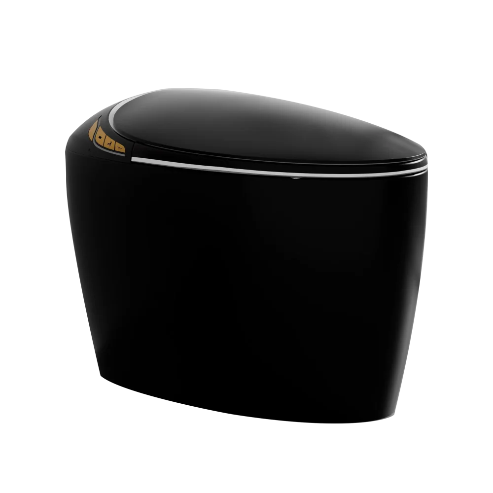 Unique Smart Toilet with Bidet Built In