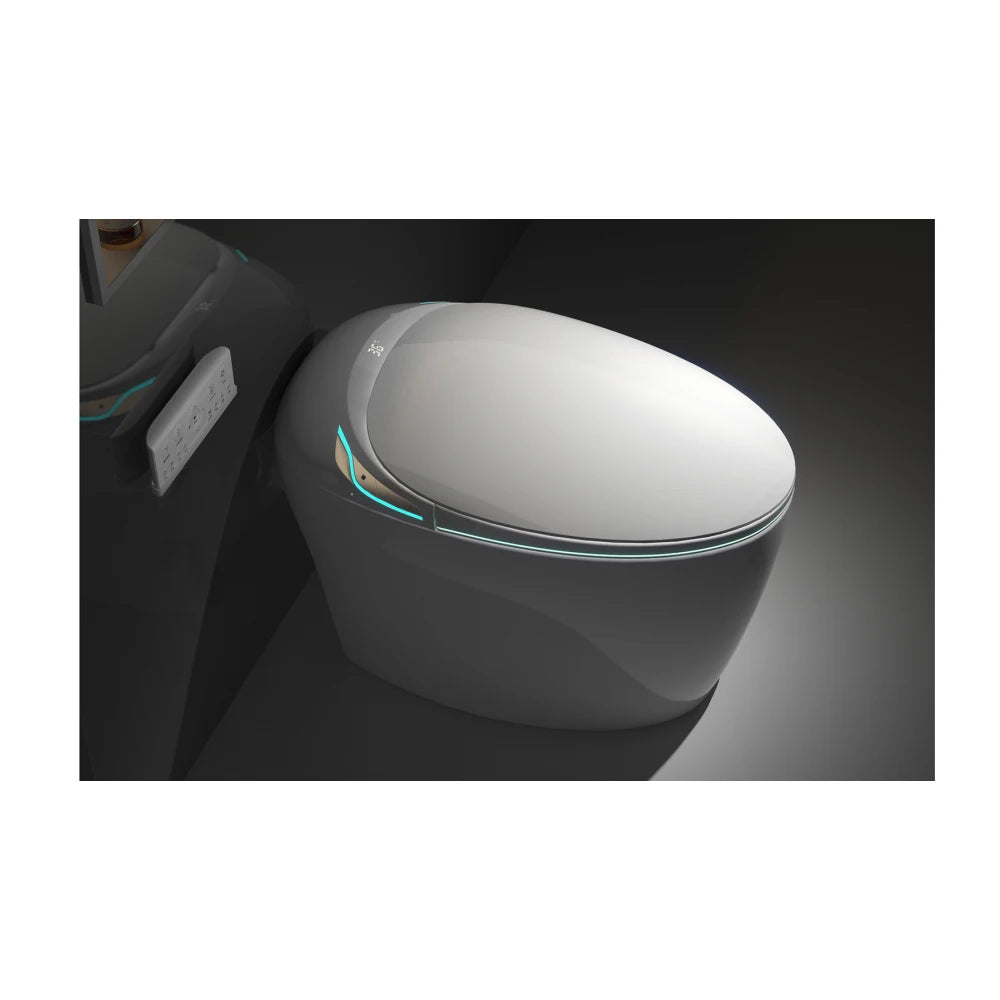 Unique Smart Toilet with Bidet Built In