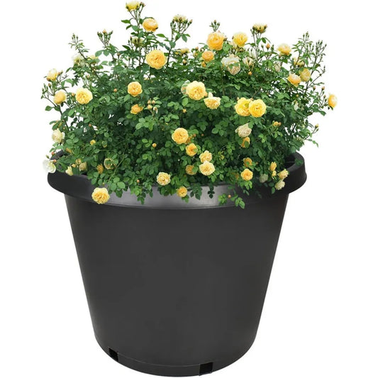 Plant Flower Seedling Container