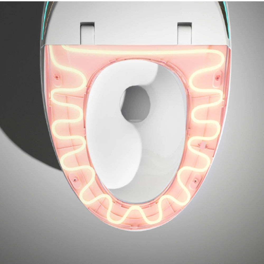 Unique Smart Toilet with Bidet Built In