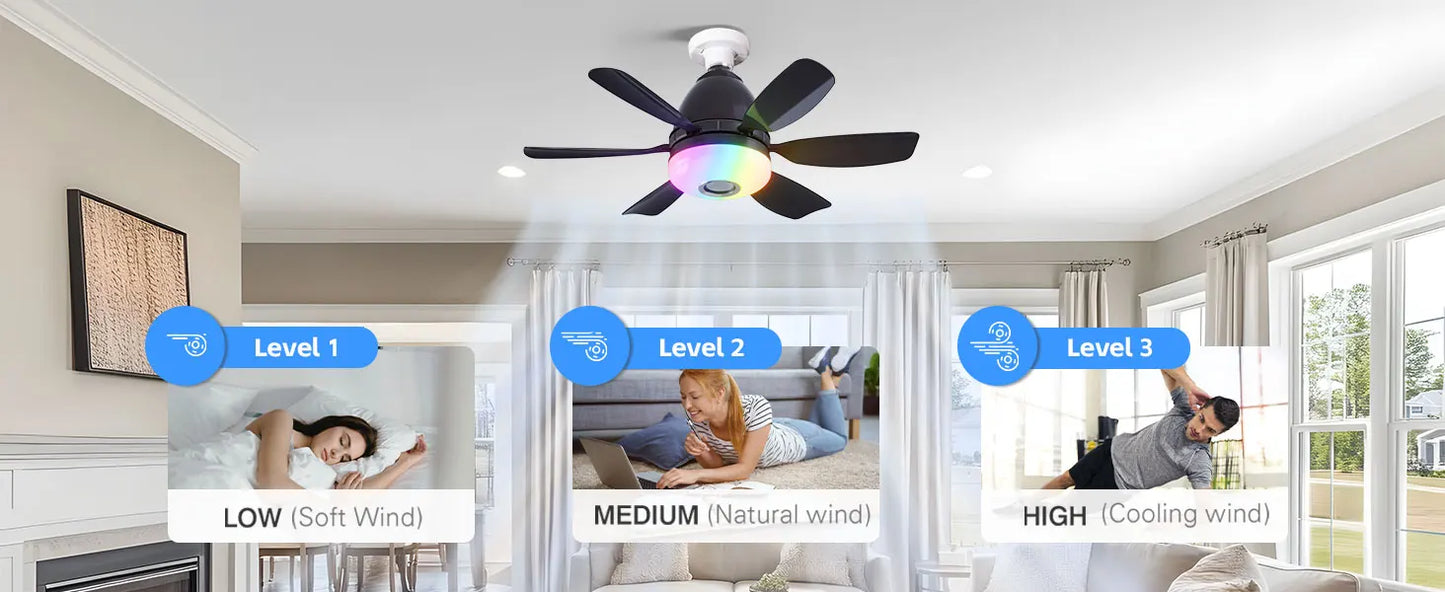Socket Ceiling Fan RGB Light Bluetooth Speaker with Remote