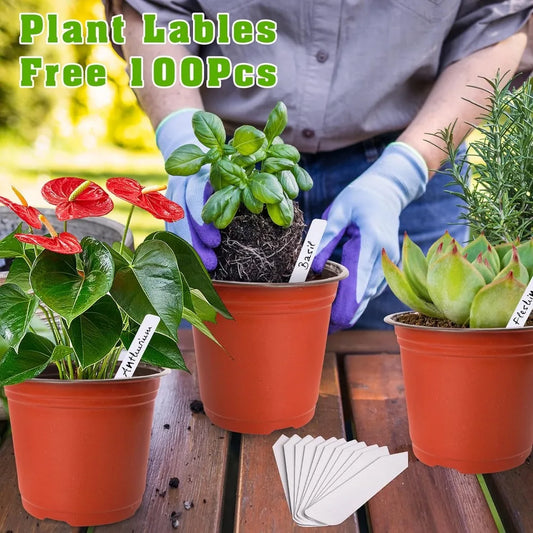 Nursery Pots Seedling Plant Container