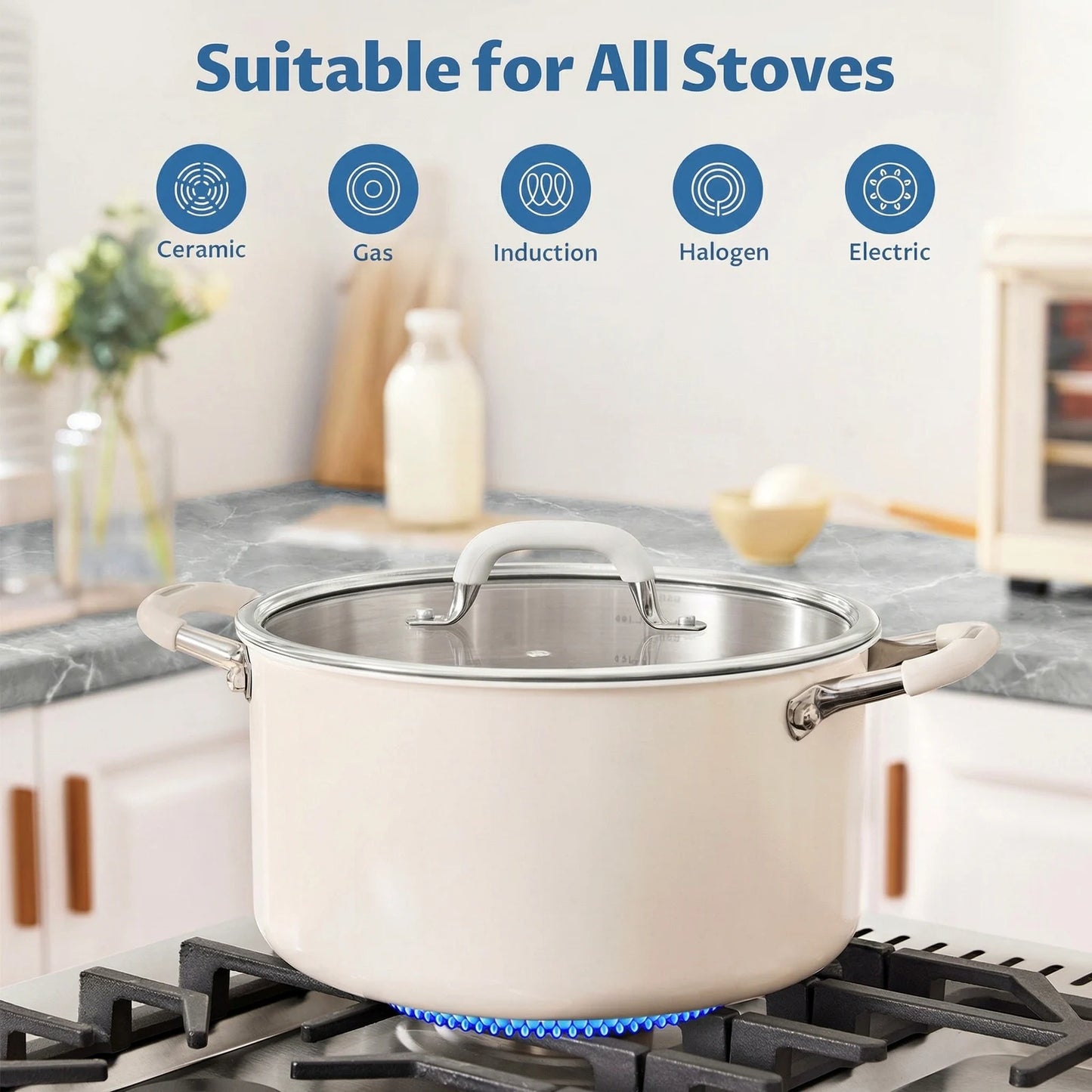Casserole Cooking Pot with Lid