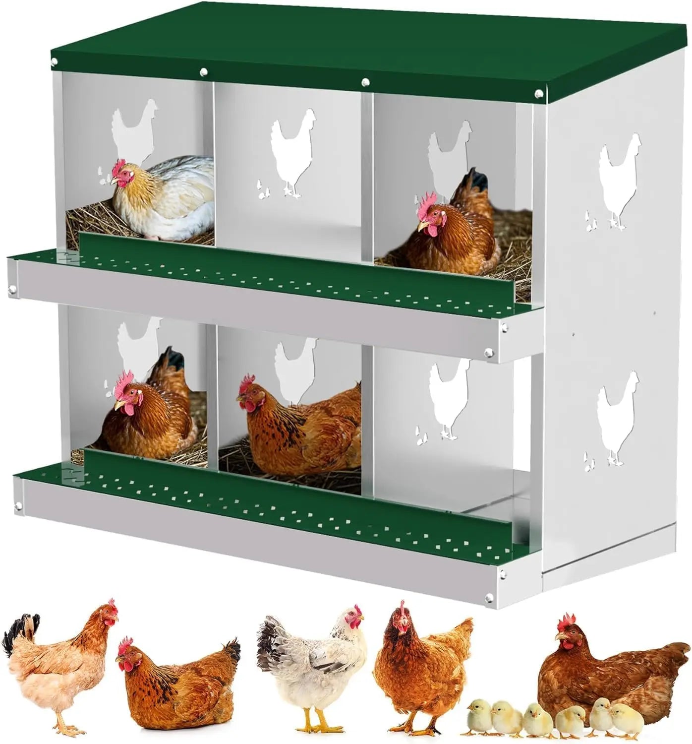 Metal Chicken Nesting Boxes Heavy-Duty Galvanized Steel Egg Laying Box with 10 Compartments Wall-Mountable for Poultry Coops