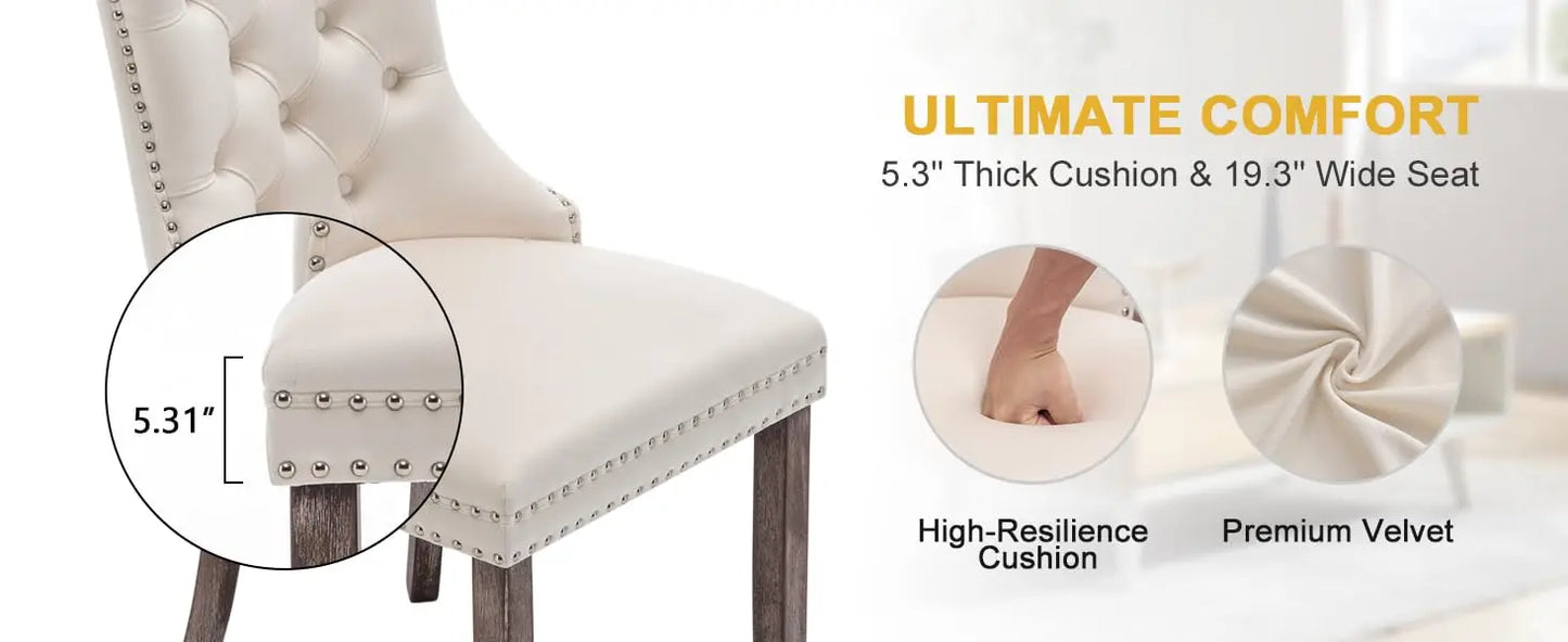 Upholstered Velvet Dining Room Chairs with Nail-Head Ring Pull Trim
