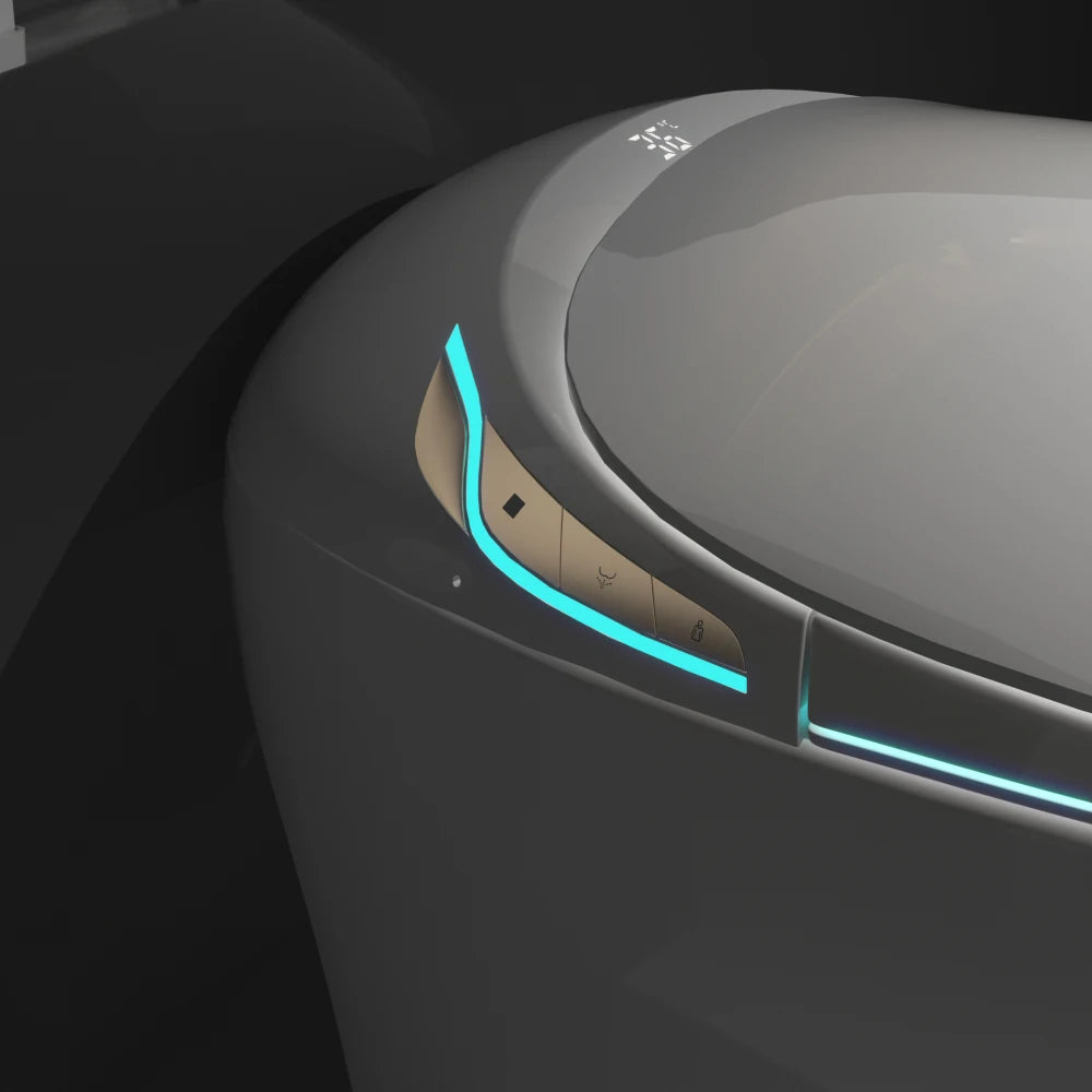 Unique Smart Toilet with Bidet Built In