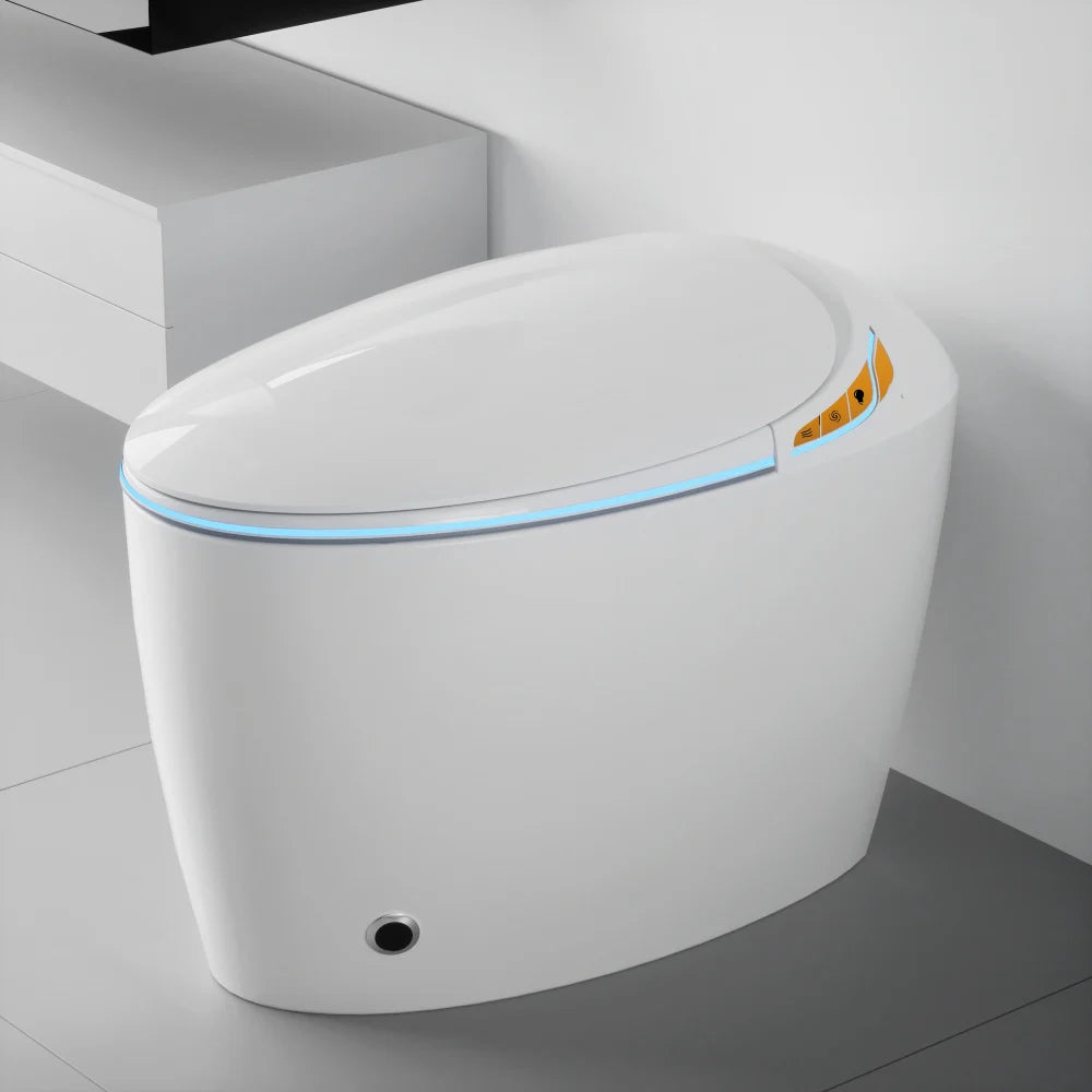 Unique Smart Toilet with Bidet Built In
