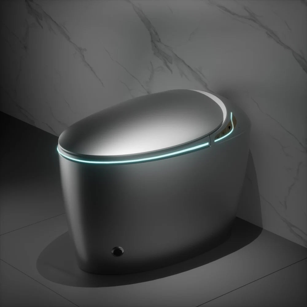 Unique Smart Toilet with Bidet Built In
