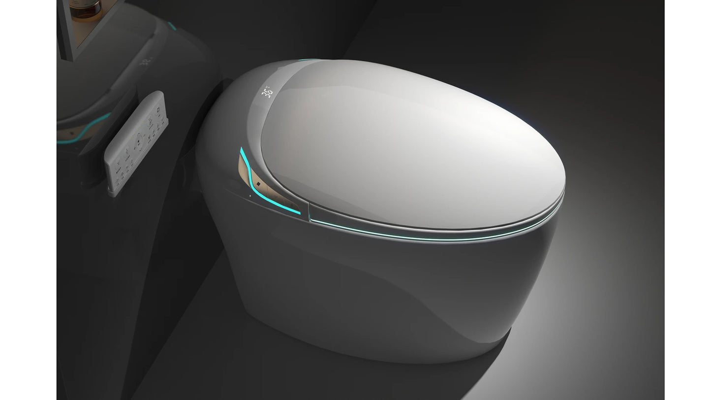 Unique Smart Toilet with Bidet Built In
