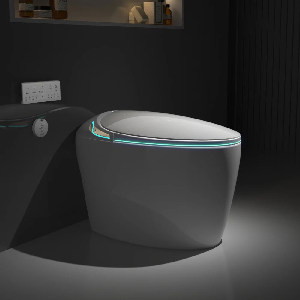 Unique Smart Toilet with Bidet Built In