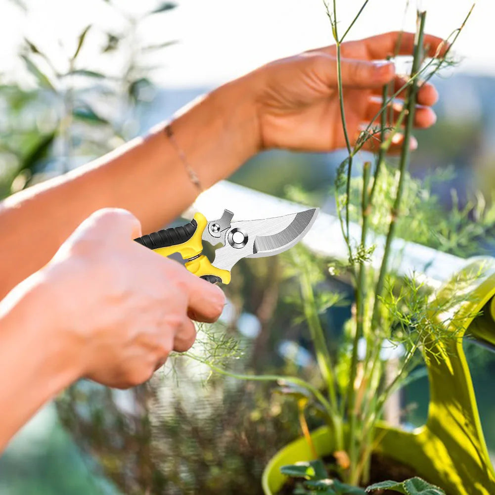 Professional Sharp Pruner Garden Scissors