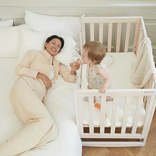 Baby Convertible Crib With Removable Wheels