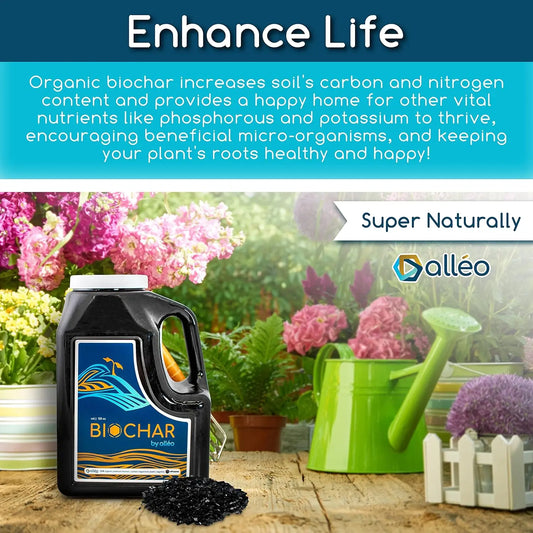 Charcoal Soil - All Natural Enhancer for Garden and Potting Soil