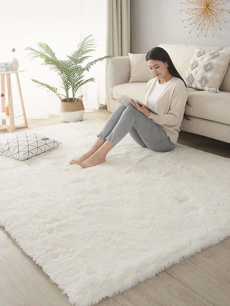 Fluffy Carpet Modern Home Decor