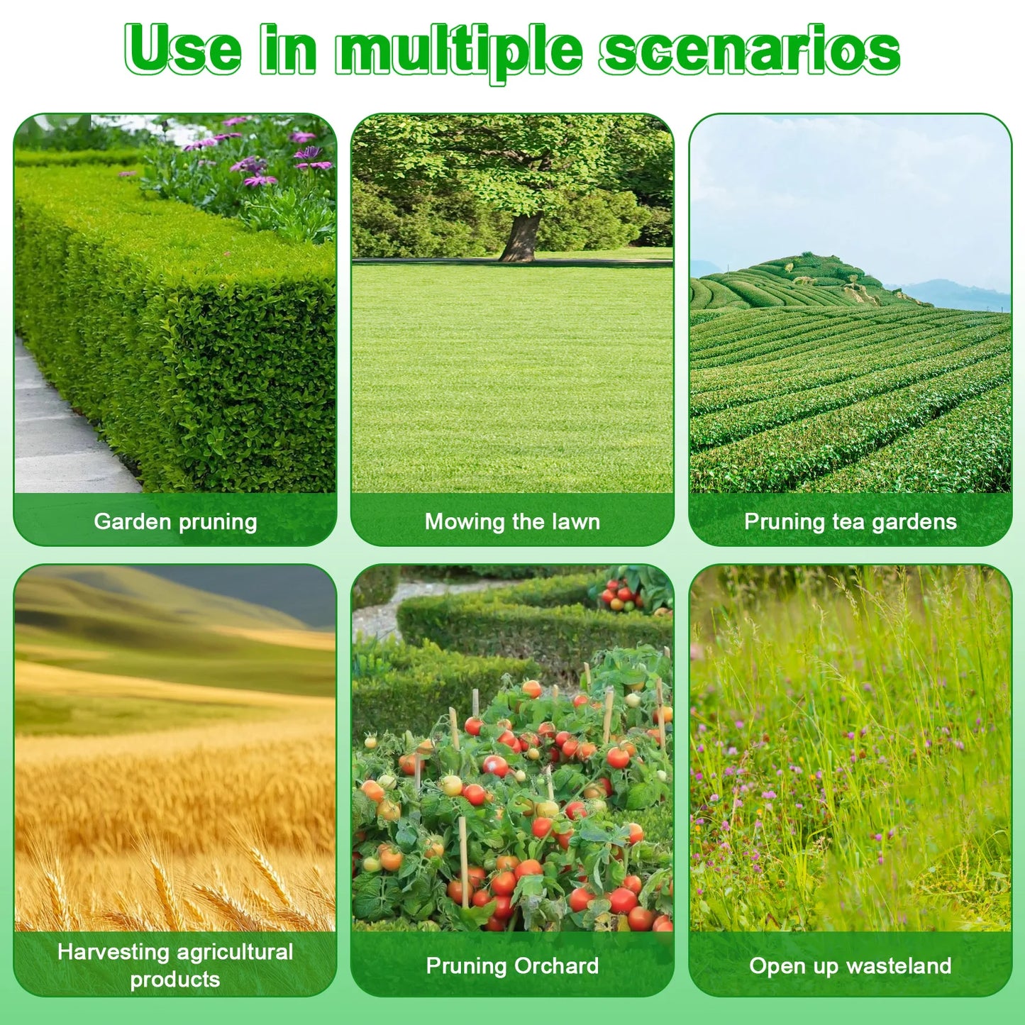Gardening - Equipment