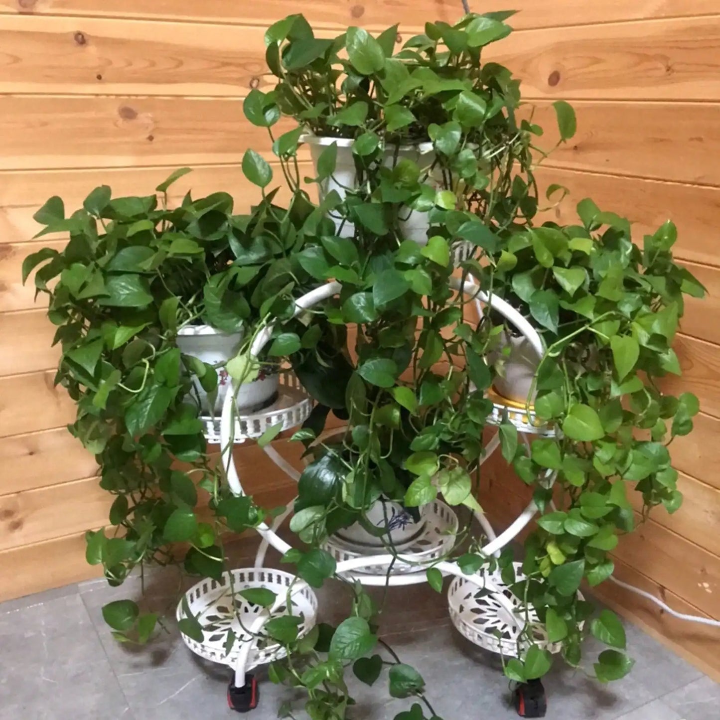 Round Metal Stand w/Wheel Rack