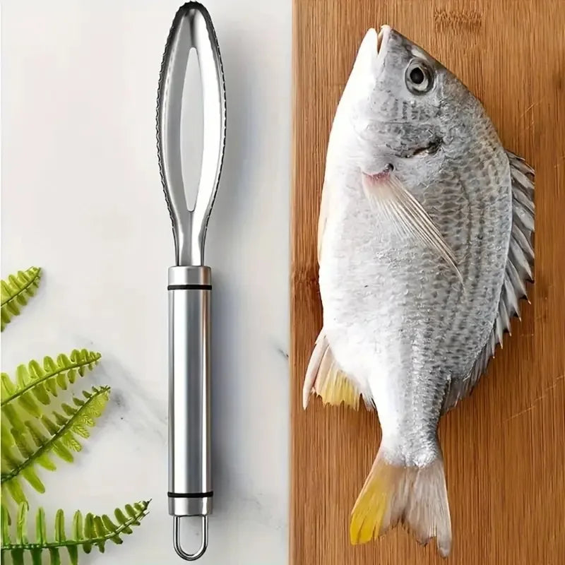 Pointed Fish Scaler, Removes Scales Quickly & Easily