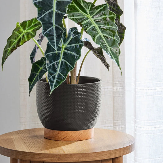 Black Woven Ceramic Planter with Wood Texture Base