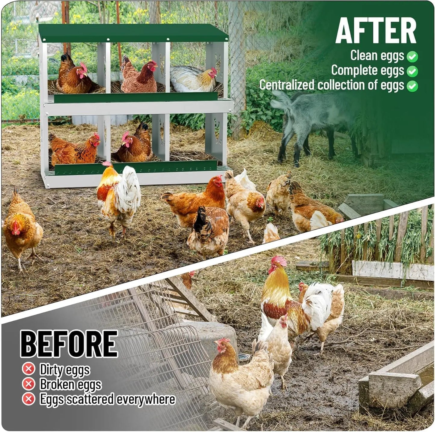 Metal Chicken Nesting Boxes Heavy-Duty Galvanized Steel Egg Laying Box with 10 Compartments Wall-Mountable for Poultry Coops