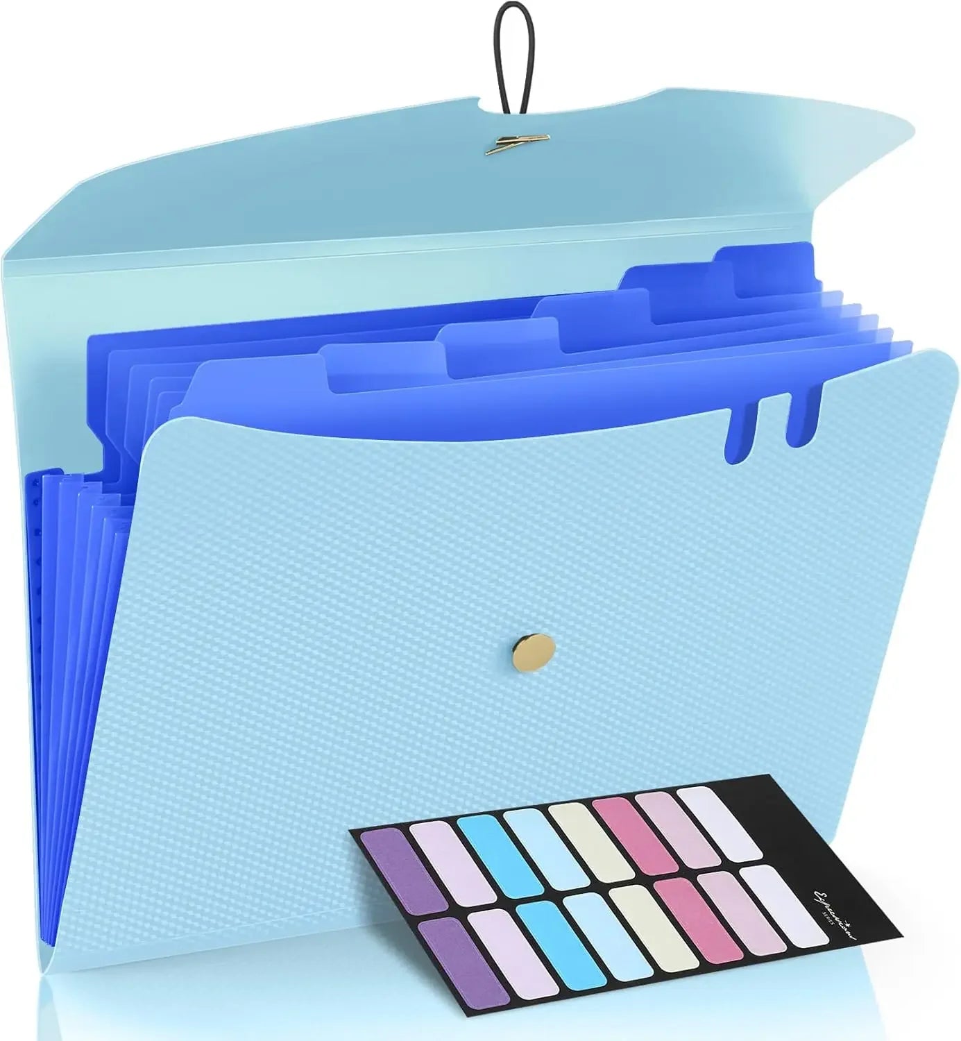 Letter Size Organ Organizer